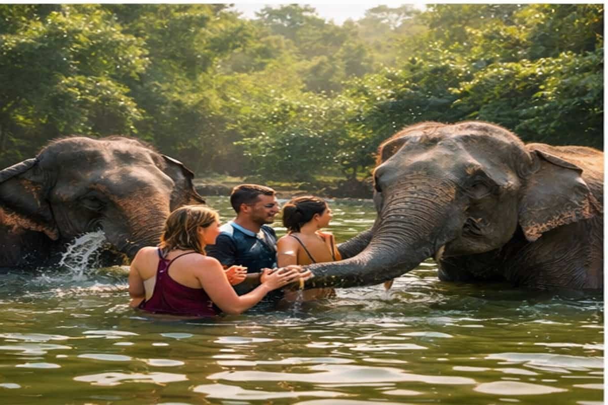 The Ultimate Guide to Swimming With Elephants in Phuket (Ethically & Responsibly)